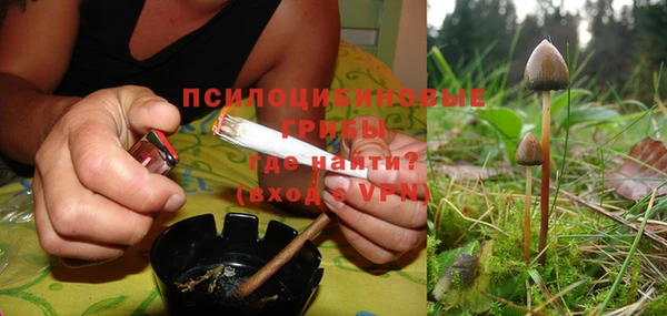 метадон Белокуриха