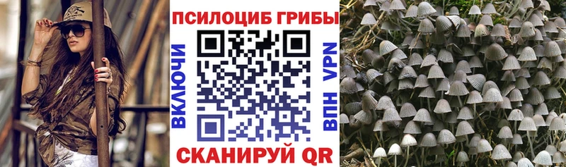 Галлюциногенные грибы прущие грибы  Красноуфимск 